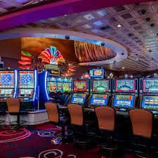 7d casino
